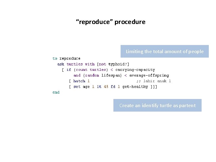 “reproduce” procedure Limiting the total amount of people Create an identify turtle as partent