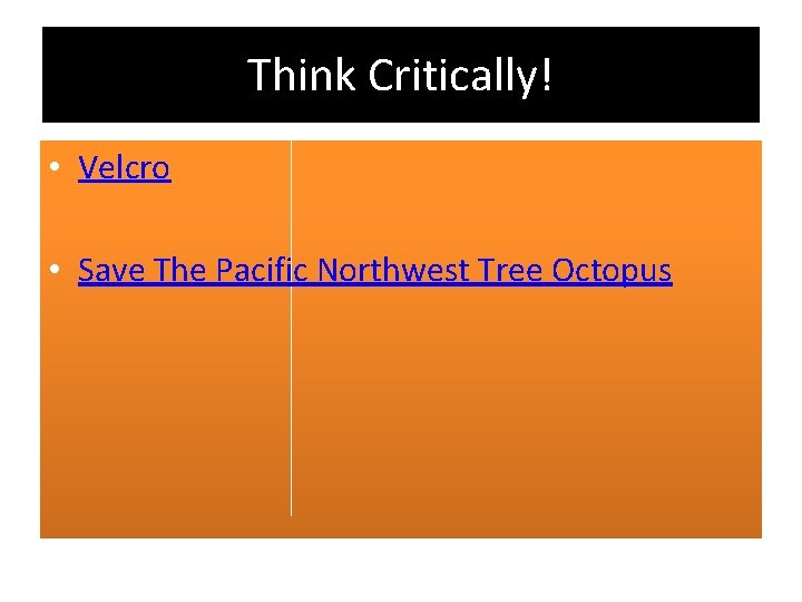 Think Critically! • Velcro • Save The Pacific Northwest Tree Octopus 