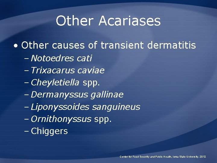 Other Acariases • Other causes of transient dermatitis – Notoedres cati – Trixacarus caviae