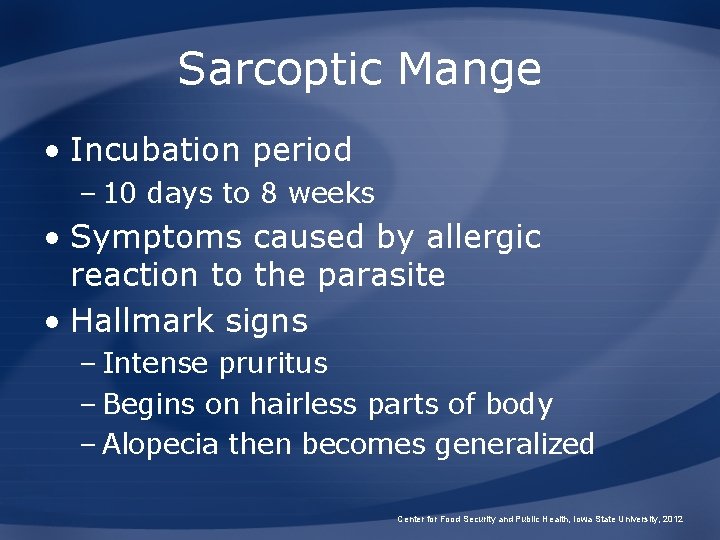 Sarcoptic Mange • Incubation period – 10 days to 8 weeks • Symptoms caused