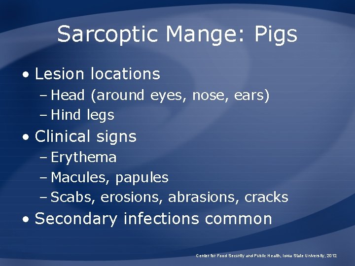Sarcoptic Mange: Pigs • Lesion locations – Head (around eyes, nose, ears) – Hind