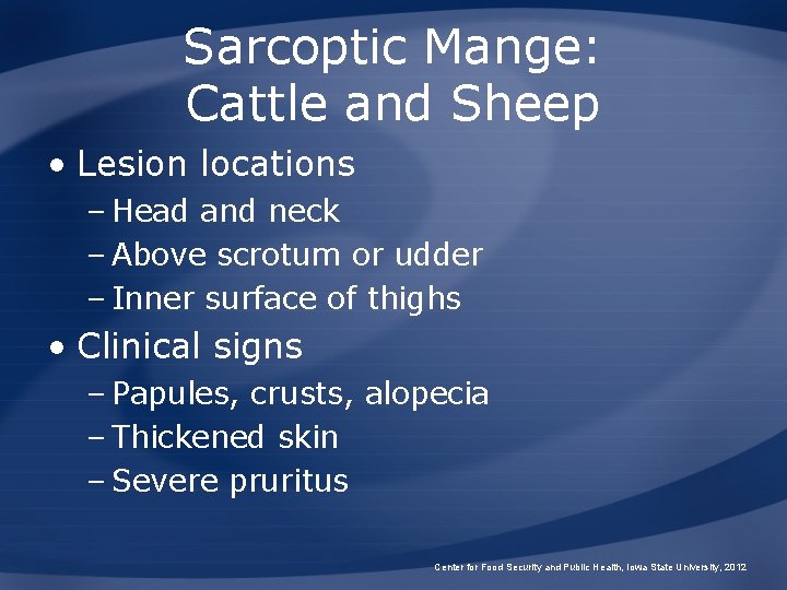 Sarcoptic Mange: Cattle and Sheep • Lesion locations – Head and neck – Above