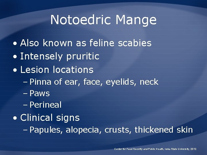 Notoedric Mange • Also known as feline scabies • Intensely pruritic • Lesion locations