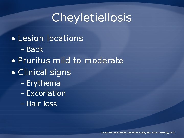Cheyletiellosis • Lesion locations – Back • Pruritus mild to moderate • Clinical signs