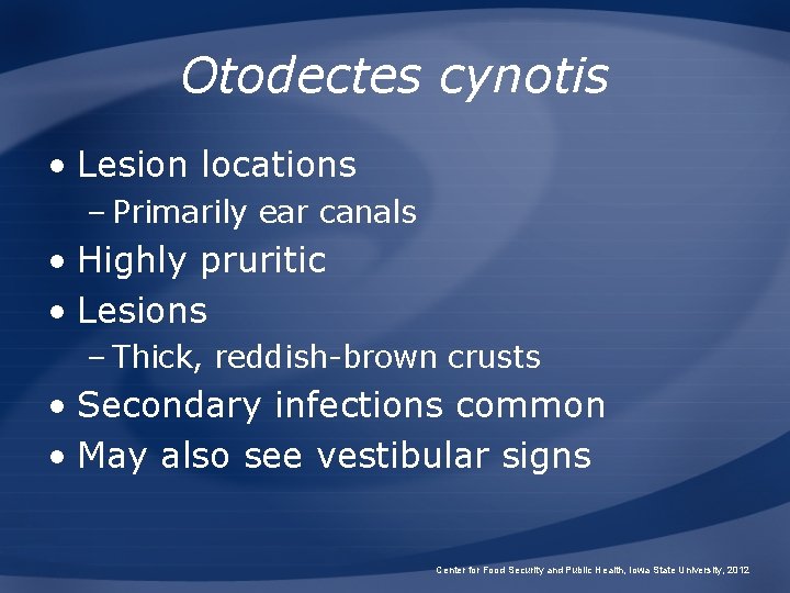 Otodectes cynotis • Lesion locations – Primarily ear canals • Highly pruritic • Lesions