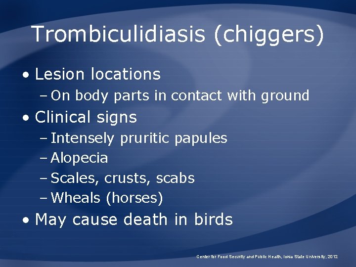 Trombiculidiasis (chiggers) • Lesion locations – On body parts in contact with ground •