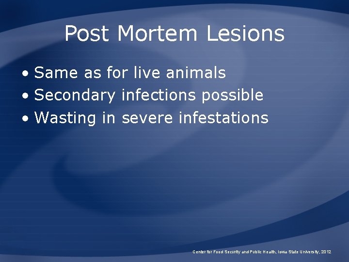 Post Mortem Lesions • Same as for live animals • Secondary infections possible •