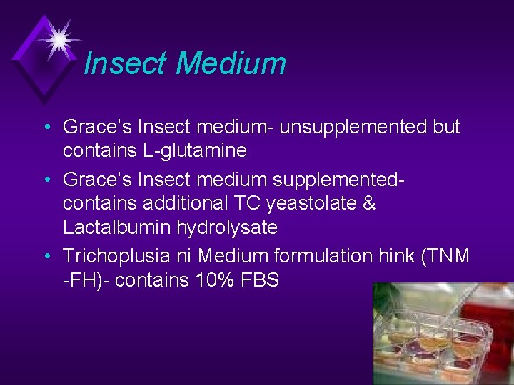 Insect Medium • Grace’s Insect medium- unsupplemented but contains L-glutamine • Grace’s Insect medium