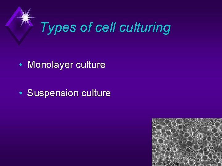 Types of cell culturing • Monolayer culture • Suspension culture 