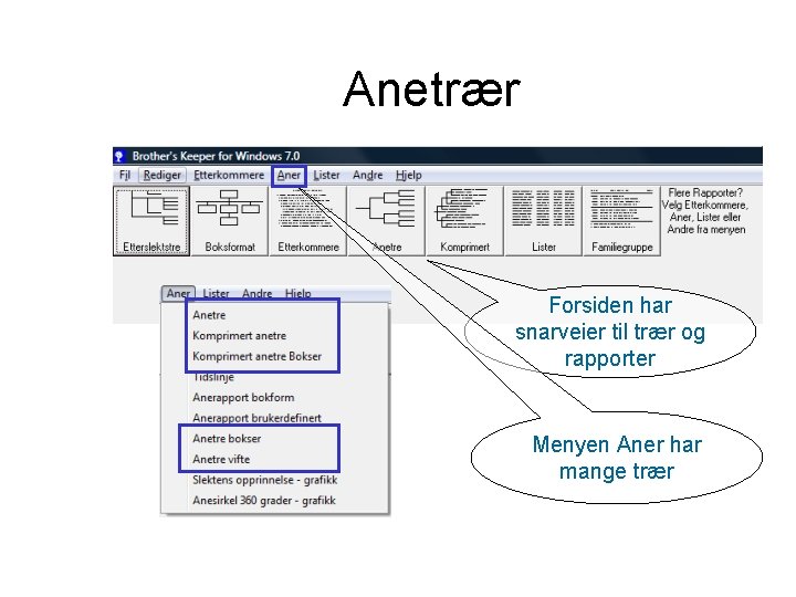 Anetrær Forsiden har snarveier til trær og rapporter Menyen Aner har mange trær 