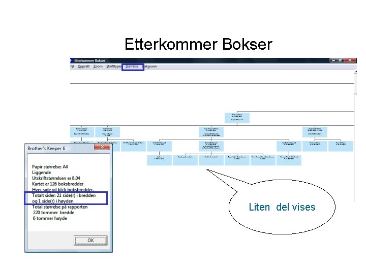 Etterkommer Bokser Liten del vises 