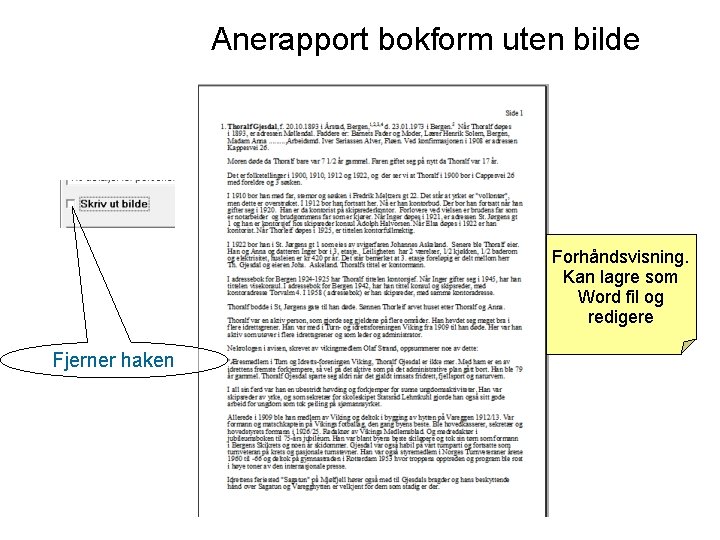 Anerapport bokform uten bilde Forhåndsvisning. Kan lagre som Word fil og redigere Fjerner haken