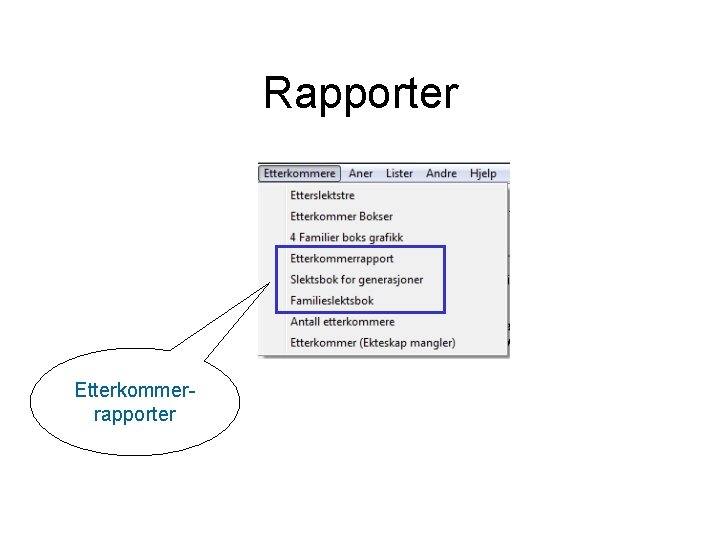 Rapporter Etterkommerrapporter 