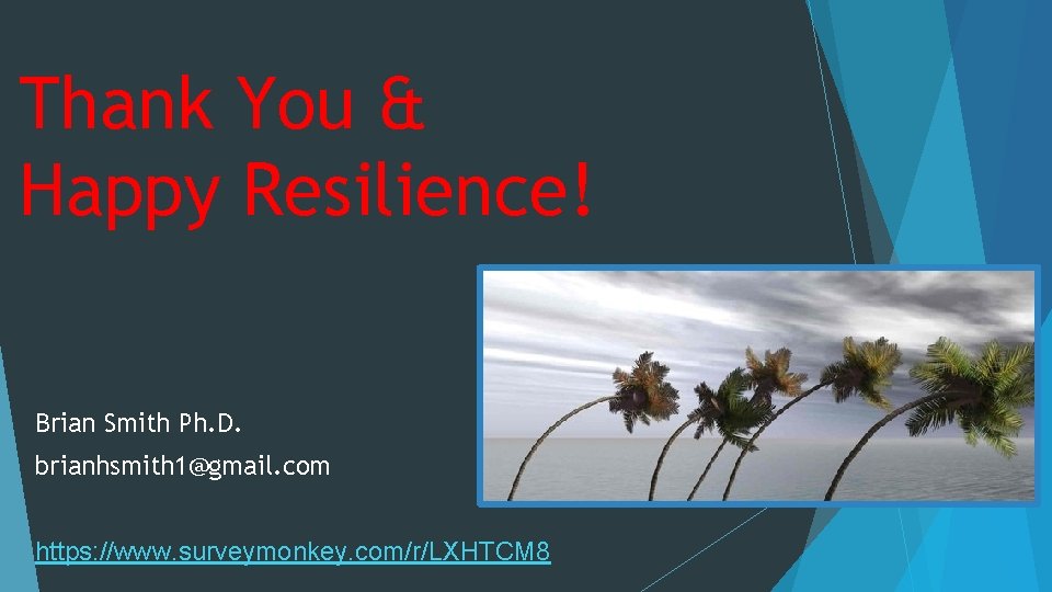 Thank You & Happy Resilience! Brian Smith Ph. D. brianhsmith 1@gmail. com https: //www.