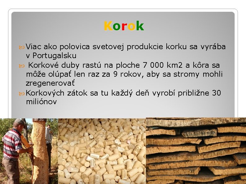 K o ro k Viac ako polovica svetovej produkcie korku sa vyrába v Portugalsku