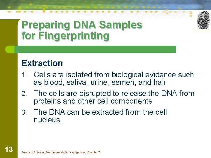 Preparing DNA Samples for Fingerprinting Extraction 1. Cells are isolated from biological evidence such