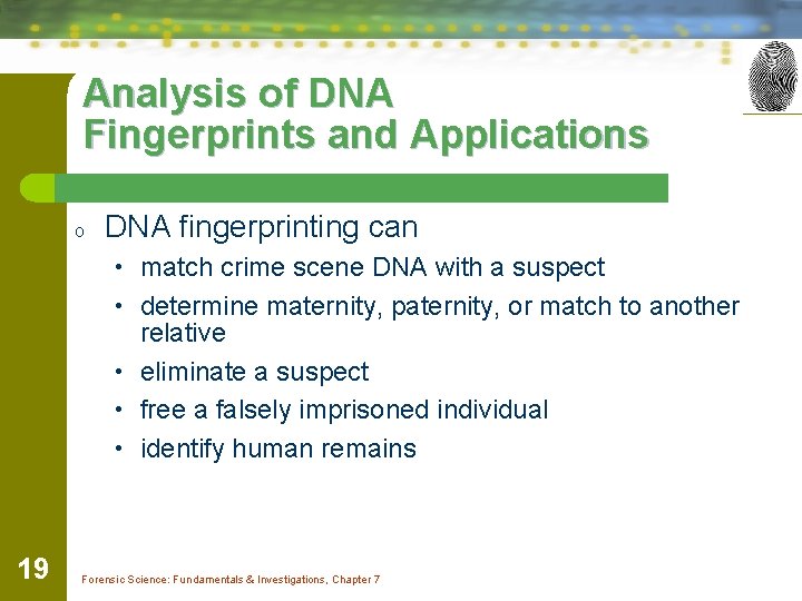 Analysis of DNA Fingerprints and Applications o DNA fingerprinting can • match crime scene