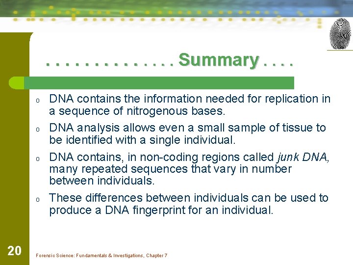 . . . Summary. . o o 20 DNA contains the information needed for