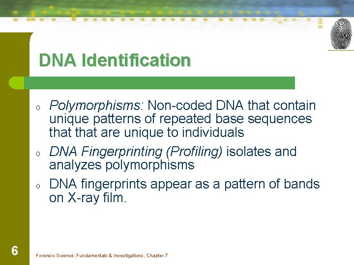 DNA Identification o o o 6 Polymorphisms: Non-coded DNA that contain unique patterns of