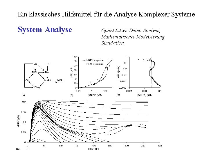 Ein klassisches Hilfsmittel für die Analyse Komplexer Systeme System Analyse Quantitative Daten Analyse, Mathematischel