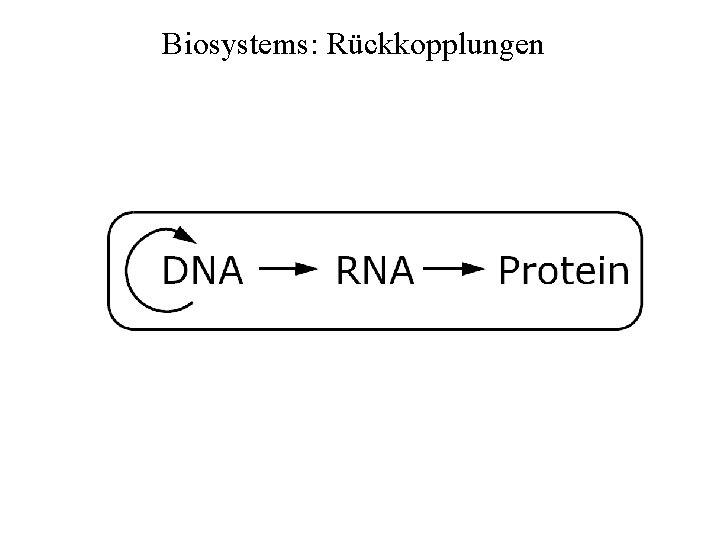 Biosystems: Rückkopplungen 