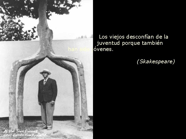 Los viejos desconfían de la juventud porque también han sido jóvenes. (Skakespeare) 