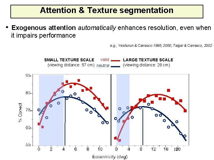 Attention & Texture segmentation • Exogenous attention automatically enhances resolution, even when it impairs