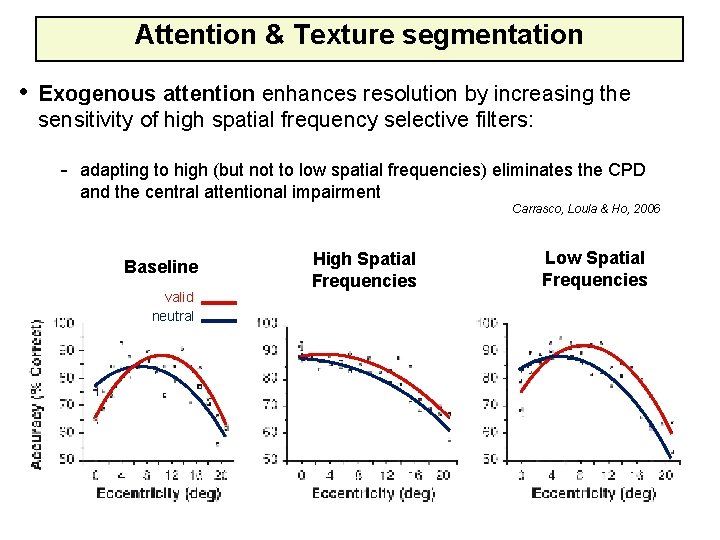 Attention & Texture segmentation • Exogenous attention enhances resolution by increasing the sensitivity of