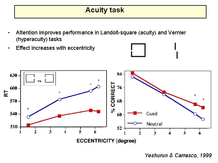 Acuity task • Attention improves performance in Landolt-square (acuity) and Vernier (hyperacuity) tasks •