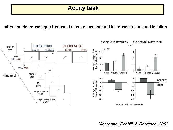 Acuity task attention decreases gap threshold at cued location and increase it at uncued