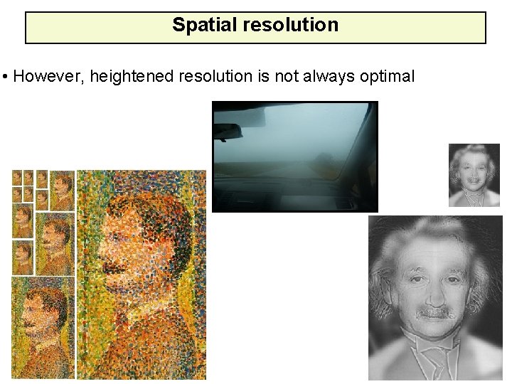 Spatial resolution • However, heightened resolution is not always optimal 