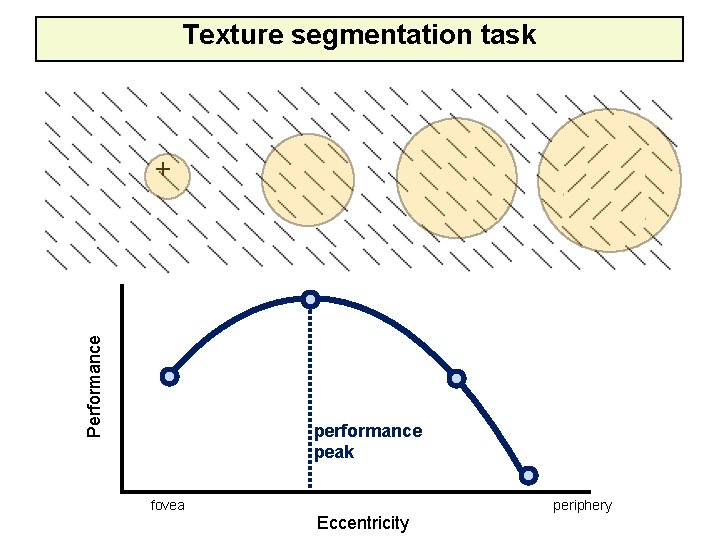 Texture segmentation task Performance + performance peak fovea Eccentricity periphery 