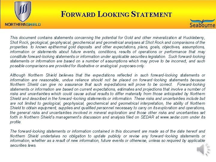 TSX-V: NRN FORWARD LOOKING STATEMENT This document contains statements concerning the potential for Gold