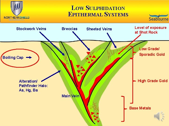 TSX-V: NRN LOW SULPHIDATION EPITHERMAL SYSTEMS Stockwork Veins Breccias Sheeted Veins Level of exposure