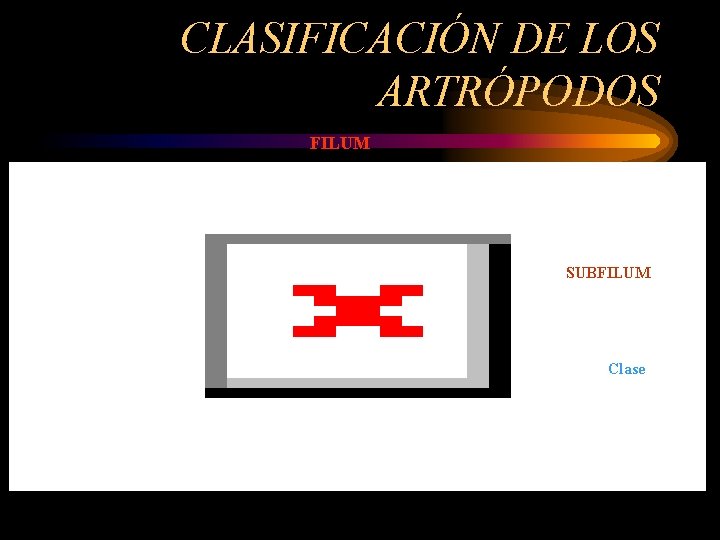 CLASIFICACIÓN DE LOS ARTRÓPODOS FILUM SUBFILUM Clase 