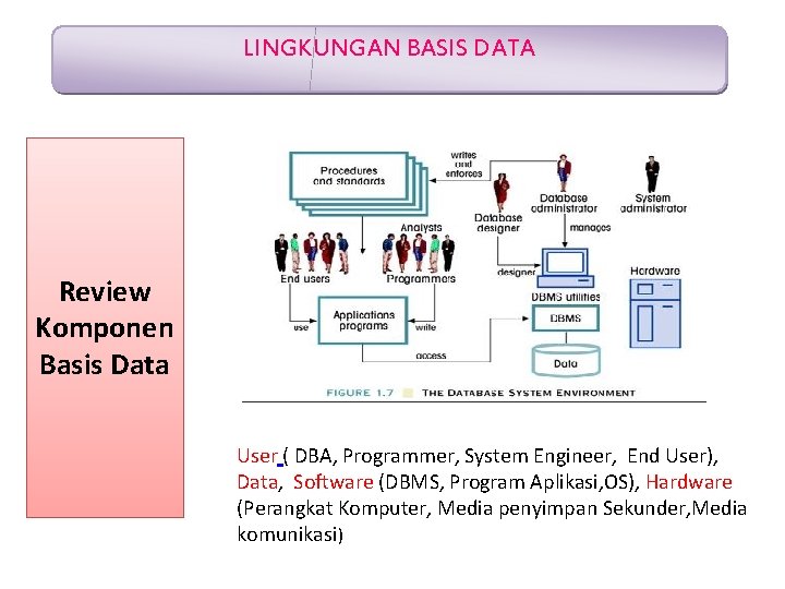 LINGKUNGAN BASIS DATA Review Komponen Basis Data User ( DBA, Programmer, System Engineer, End
