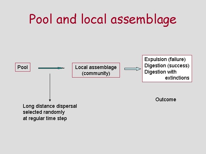 Pool and local assemblage Pool Local assemblage (community) Expulsion (failure) Digestion (success) Digestion with