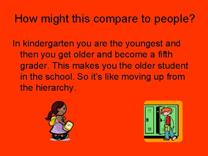 How might this compare to people? In kindergarten you are the youngest and then