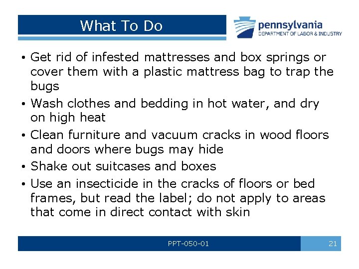 What To Do • Get rid of infested mattresses and box springs or cover
