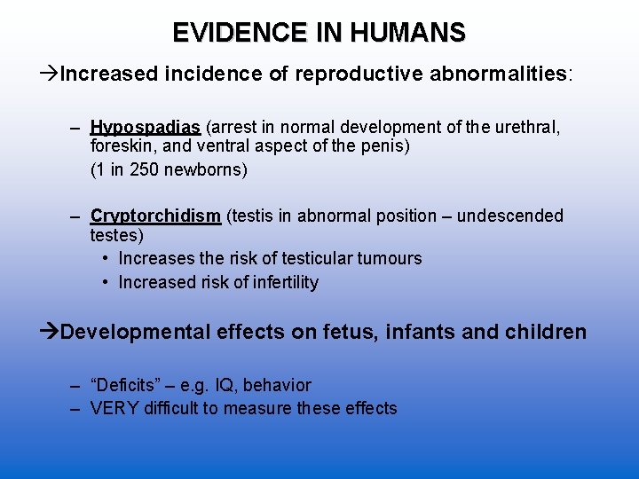 EVIDENCE IN HUMANS Increased incidence of reproductive abnormalities: – Hypospadias (arrest in normal development