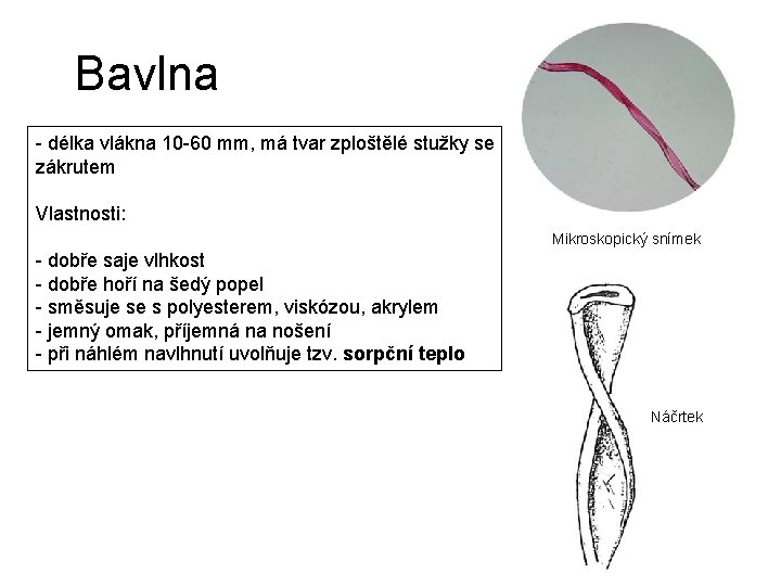 Bavlna - délka vlákna 10 -60 mm, má tvar zploštělé stužky se zákrutem Vlastnosti: