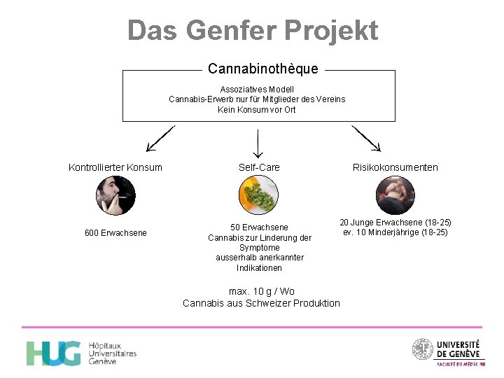 Das Genfer Projekt Cannabinothèque Assoziatives Modell Cannabis-Erwerb nur für Mitglieder des Vereins Kein Konsum