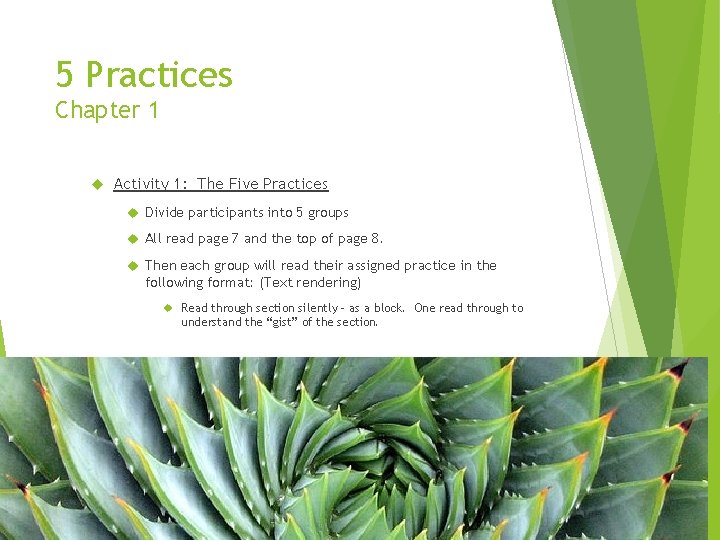 5 Practices Chapter 1 Activity 1: The Five Practices Divide participants into 5 groups