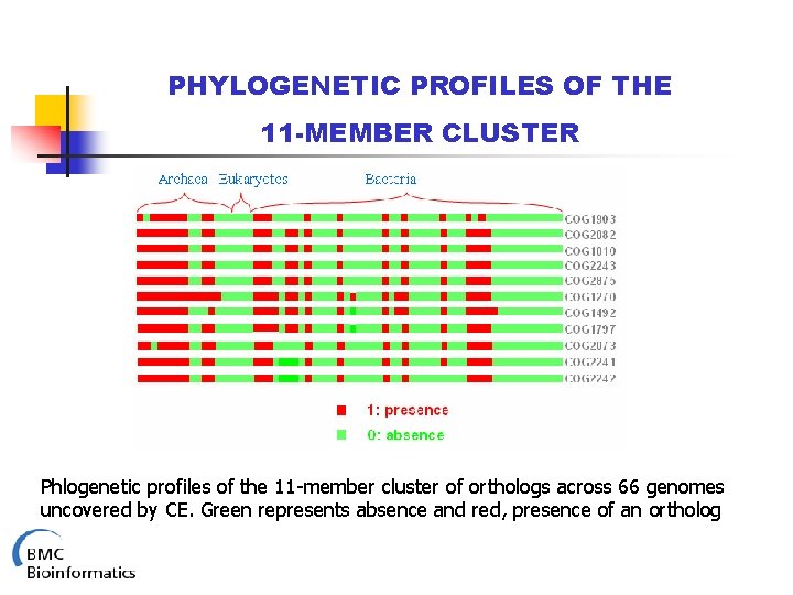 PHYLOGENETIC PROFILES OF THE 11 -MEMBER CLUSTER Phlogenetic profiles of the 11 -member cluster