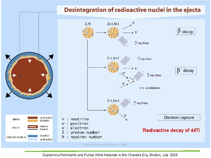 Irfu Radioactive decay in the ejecta Saclay Radioactive decay of 44 Ti Supernova Remnants