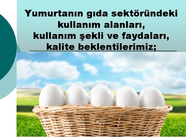 Yumurtanın gıda sektöründeki kullanım alanları, kullanım şekli ve faydaları, kalite beklentilerimiz; 