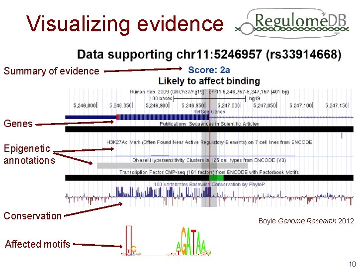 Visualizing evidence Summary of evidence Genes Epigenetic annotations Conservation Boyle Genome Research 2012 Affected