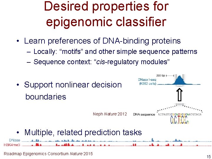 Desired properties for epigenomic classifier • Learn preferences of DNA-binding proteins – Locally: “motifs”