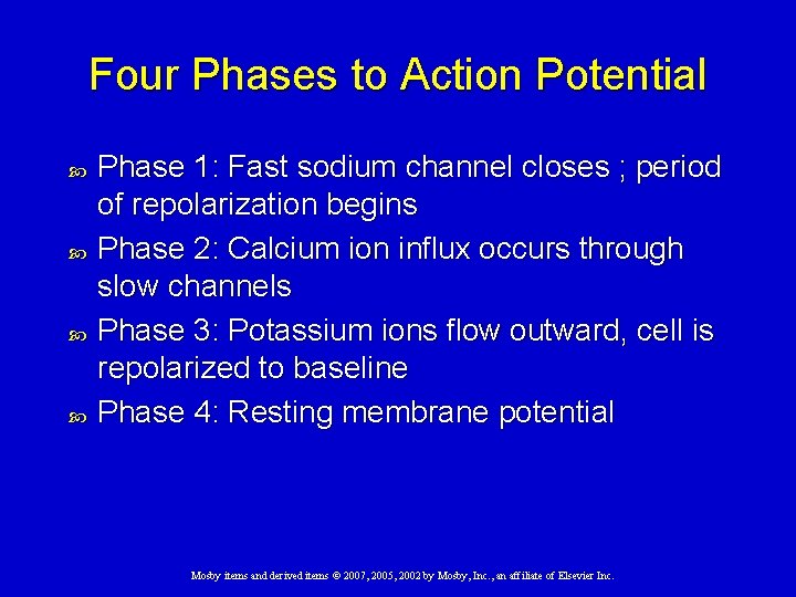 Four Phases to Action Potential Phase 1: Fast sodium channel closes ; period of