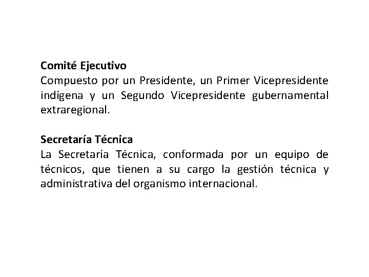 Comité Ejecutivo Compuesto por un Presidente, un Primer Vicepresidente indígena y un Segundo Vicepresidente